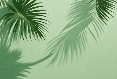 The primary subject of the image is a palm tree, which is prominently featured in the foreground. The setting is a green wall, which serves as the background for the palm tree. The visual style of the image is a photo, capturing the natural beauty of the palm tree. The dominant colors in the image are green, which is the color of the wall, and the various shades of green and brown that are present in the palm tree. The overall atmosphere of the image is serene and relaxing,