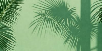 The primary subject of the image is a large palm tree with a long leaf. The tree is located in a green environment, possibly a tropical or subtropical setting. The visual style of the image is a photo, capturing the natural beauty of the palm tree. The dominant colors in the image are green, which is the color of the palm tree, and white, which is the color of the leaf. The overall atmosphere of the image is serene and peaceful, as it showcases the natural beauty of the palm