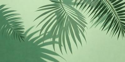 The primary subject of the image is a large palm tree with a green background. The visual style is a photo, and the colors and mood are predominantly green, creating a serene and natural atmosphere.