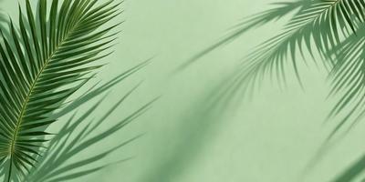 The primary subject of the image is a palm tree, which is prominently featured in the foreground. The setting is a green background, likely a wall or a surface, which complements the palm tree. The visual style of the image is a photo, capturing the natural beauty of the palm tree. The colors in the image are predominantly green, which adds to the overall mood of the scene.