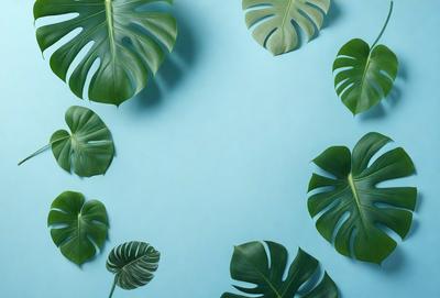The image features a blue wall with a row of green leaves hanging from it. The leaves are arranged in a pattern, creating a visually appealing scene. The primary subject of the image is the green leaves, which are the main focus of the image. The setting is a blue wall, and the visual style is a close-up of the leaves, showcasing their details. The colors and mood of the image are predominantly green, giving it a fresh and natural atmosphere.