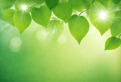 The primary subject of the image is a green leaf, which is the main object, scene, or focus of the image. The leaf is situated in a green background, which suggests that the image is a photo of a natural setting. The visual style of the image is realistic, as it captures the leaf in its natural environment. The dominant colors in the image are green, which creates a calm and serene atmosphere.