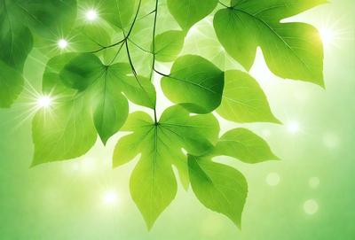 The primary subject of the image is a close-up of a leaf, possibly a green tree leaf. The leaf is the main focus of the image, and it is set against a green background. The visual style of the image is a combination of photo and digital art, creating a realistic yet artistic representation of the leaf. The colors in the image are predominantly green, giving the image a natural and serene atmosphere.