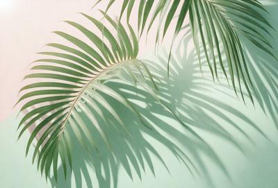 The image features a large palm tree with long, thin leaves. The tree is casting a shadow on a green wall, creating a visually striking scene. The primary subject is the palm tree, and the setting is a green wall. The visual style is a photo, and the colors and mood are predominantly green, with a touch of natural beauty.