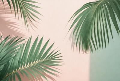 The image features a close-up of a palm tree with its leaves. The tree is positioned in front of a pink wall, creating a visually appealing contrast between the green leaves and the pink background. The palm tree's leaves are prominently displayed, showcasing their natural beauty and texture. The overall atmosphere of the image is serene and inviting, with the palm tree serving as a focal point in the scene.
