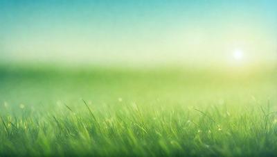 The primary subject of the image is a lush green field with a blue sky in the background. The field is filled with grass, and the overall atmosphere is serene and peaceful. The visual style of the image is a photo, capturing the natural beauty of the landscape. The colors and mood of the image are dominated by the vibrant green of the grass and the calming blue of the sky.
