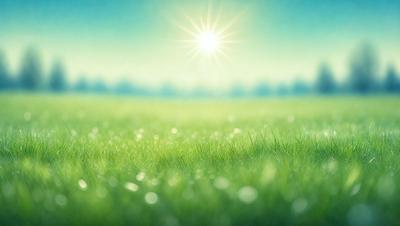 The primary subject of the image is a lush green field with a bright sun shining in the background. The field appears to be a part of a larger landscape, possibly a park or a field of grass. The visual style of the image is a photo, capturing the natural beauty of the scene. The colors and mood of the image are predominantly green, with the bright sun adding warmth and a sense of tranquility to the scene.