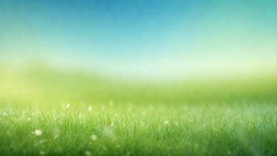 The primary subject of the image is a lush green field with a blue sky in the background. The field appears to be a part of a larger landscape, possibly a park or a natural setting. The visual style of the image is a combination of photo and digital art, creating a vibrant and realistic representation of the scene. The colors and mood of the image are predominantly green and blue, evoking a sense of tranquility and natural beauty.