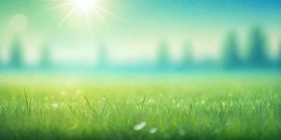 The primary subject of the image is a lush green field with a bright sun shining on it. The setting is a beautiful, sunny day with a clear blue sky. The visual style of the image is a photo, capturing the vibrant colors and natural beauty of the field. The colors and mood of the image are bright, warm, and inviting, creating a serene and peaceful atmosphere.