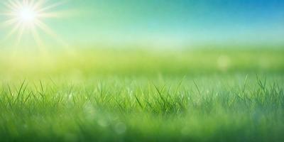 The primary subject of the image is a lush green field with grass. The setting is a bright, sunny day, and the visual style is a photo. The colors are predominantly green, and the overall atmosphere is serene and peaceful.