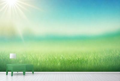 The primary subject of the image is a green bench, which is the main object in the scene. The setting is a grassy field with a blue sky in the background. The visual style is a photo, capturing the natural environment and the bench's placement in the field. The colors and mood of the image are predominantly green, with the grassy field and blue sky creating a serene and peaceful atmosphere.