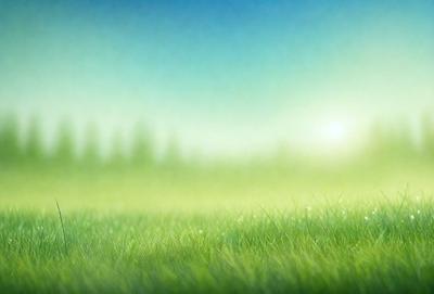 The primary subject of the image is a lush green field with a few trees in the background. The setting is a bright, sunny day, and the visual style is a photo. The colors are predominantly green, and the overall atmosphere is serene and peaceful.