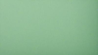 The primary subject of the image is a large, green wall. The setting is a plain, empty room with no other objects or people visible. The visual style is a close-up of the green wall, which gives a sense of depth and texture to the image. The colors and mood are predominantly green, creating a calm and serene atmosphere.