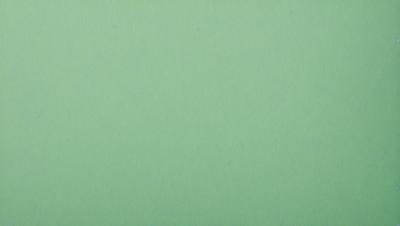 The primary subject of the image is a large, green wall. The setting is a plain, empty room with no other objects or people visible. The visual style is a close-up of the green wall, which gives a sense of depth and texture to the image. The colors and mood are predominantly green, creating a calm and serene atmosphere.