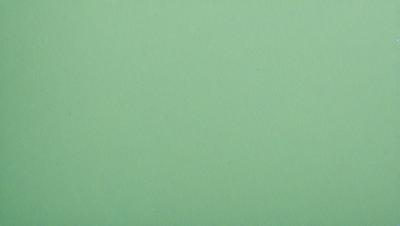 The primary subject of the image is a green background. The setting is a plain, unadorned surface. The visual style is a close-up of the green background, which appears to be a piece of paper. The colors and mood are predominantly green, creating a calm and serene atmosphere.