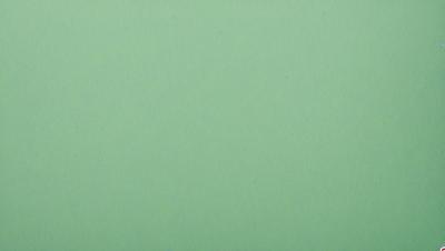 The primary subject of the image is a large, green wall. The setting is a plain, empty room with no other objects or people visible. The visual style is a close-up of the green wall, which gives a sense of depth and texture to the image. The colors and mood are predominantly green, creating a calm and serene atmosphere.