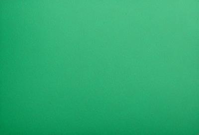 The primary subject of the image is a large, green wall. The setting is a plain, empty room with no other objects or people visible. The visual style is a close-up of the green wall, which gives a sense of depth and texture to the image. The colors and mood are predominantly green, creating a calm and serene atmosphere.