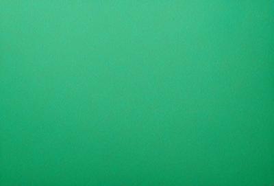 The primary subject of the image is a large, green, wall-sized background. The setting is a dark room, and the visual style is a photo. The dominant colors are green, and the overall atmosphere is calm and serene.