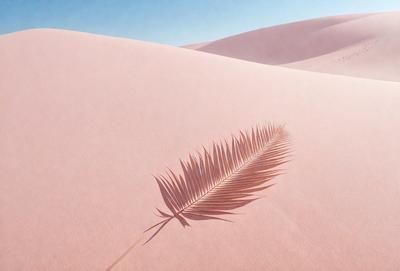 The primary subject of the image is a leaf, which is the main object, scene, or focus of the image. The leaf is placed on a pink surface, which serves as the setting or background. The visual style of the image is a photo, as it captures the natural appearance of the leaf. The colors and mood of the image are predominantly pink, creating a warm and inviting atmosphere.