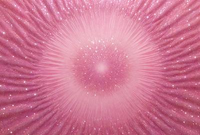 The primary subject of the image is a pink circle with a white center, which appears to be a pattern or a design. The setting is a pink background, and the visual style is a close-up of the pink circle. The colors and mood of the image are predominantly pink and white, creating a soft and feminine atmosphere.