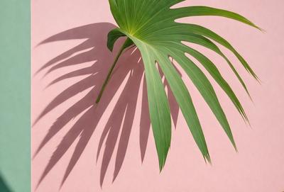 The primary subject of the image is a large green leaf, which is the main focus of the scene. The leaf is placed on a pink background, creating a visually striking contrast between the green and pink colors. The visual style of the image is a photo, capturing the natural beauty of the leaf. The overall atmosphere of the image is vibrant and lively, with the green leaf standing out against the pink background.