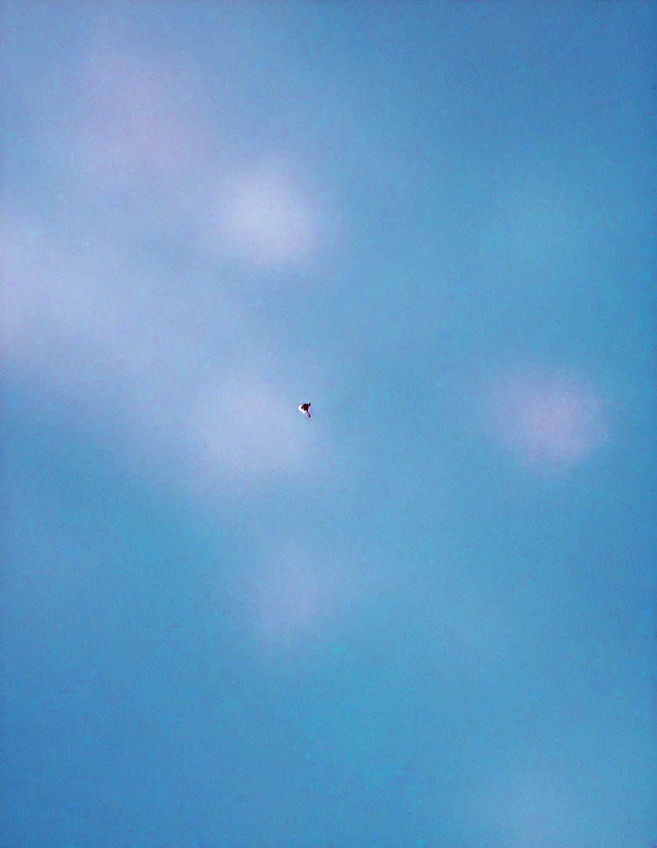 0035ebe4-e2a5-43b0-af26-e5a9350e5e14-freepik__blurred-soft-alice-blue-marble-color-gradient-colo__54323_00000.png