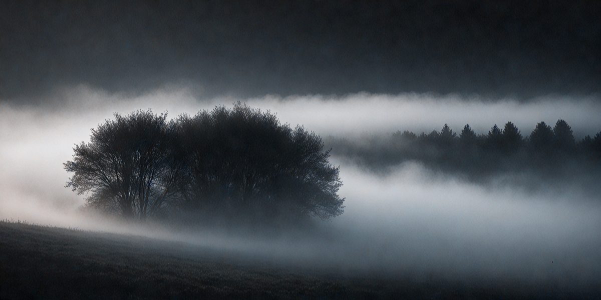02aaff9a-0e5b-4590-b7af-78735f254b3f-freepik__nature-fog-on-black-background-cinematic-angle-com__88455_250525205525_00001.png