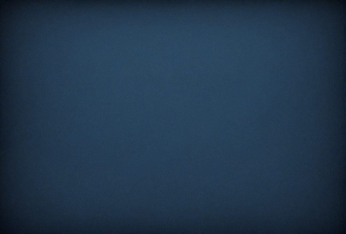 0424a45f-23a0-4cc9-a5b8-5b4e2290d6b4-freepik__dark-blue-paper-texture-background__47833_250930004520_00001.png