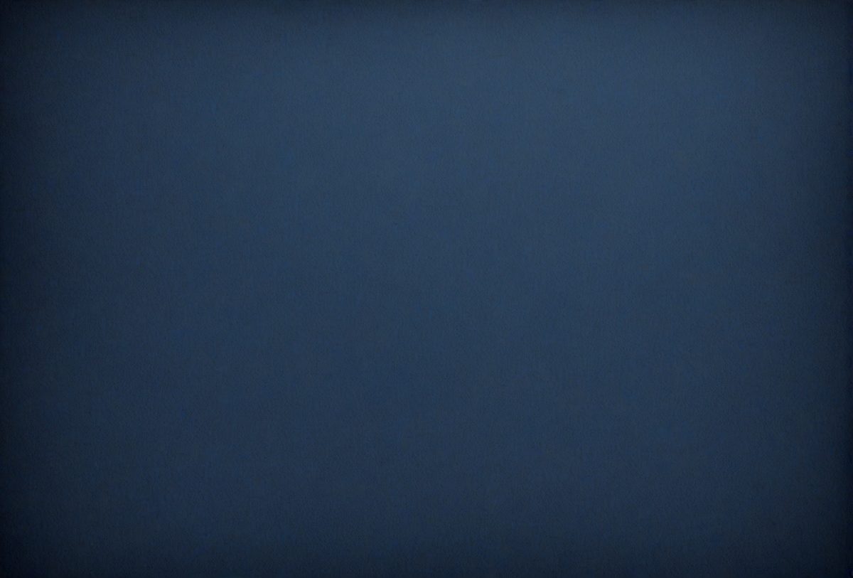 058cbf1a-27a0-4a96-842b-47bd5f76602d-freepik__dark-blue-paper-texture-background__48322_250930004609_00001.png