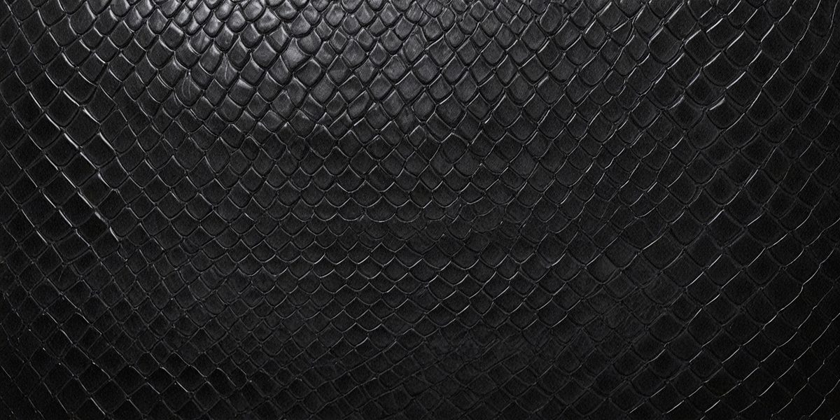 081a6975-93a6-4e91-8cb6-a6da13a7a5eb-freepik__black-snake-skin-background-panoramic-web-banner-w__98464_250525025608_00001.png