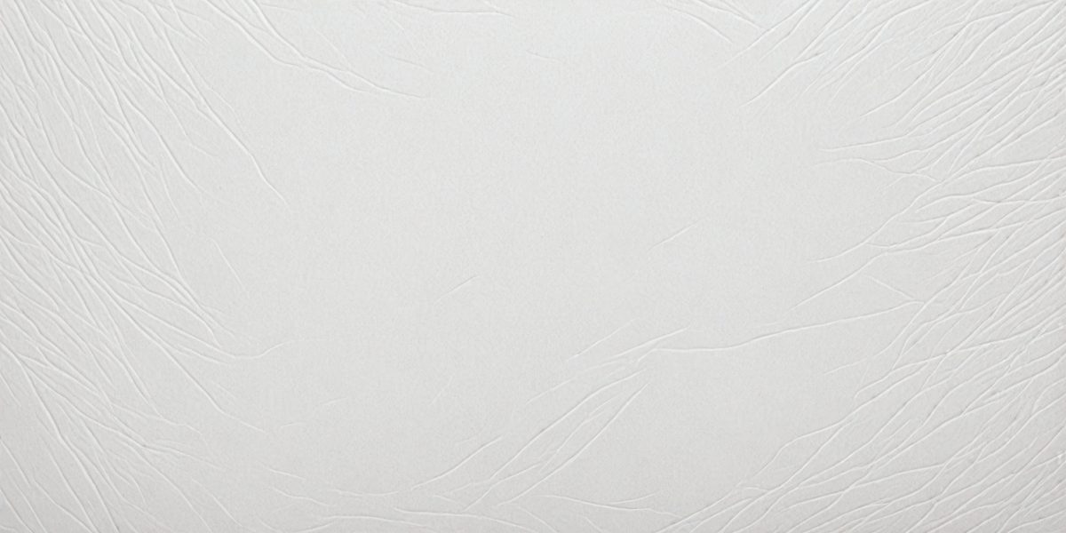 081e9146-59a8-44da-85a9-459199e3ed9b-freepik__white-leather-texture-used-as-clean-corn-flower-ba__39845_250928094136_00001.png