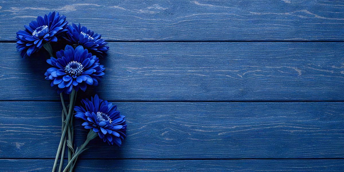 0a3d34e9-41c3-42cf-a84a-b258ed41a6e4-freepik__dark-blue-flowers-on-dark-blue-wooden-background__41149_250930001024_00001.png