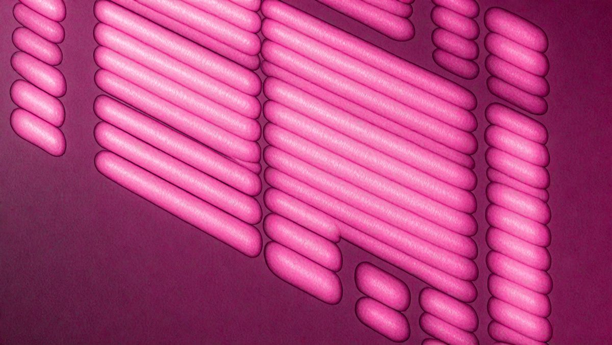 0abf4f67-3eae-4ffb-9c1a-62b78c681d48-freepik__blinds-shade-on-a-dark-magenta-wall-dark-magenta-a__6200_251007172252_00001.png