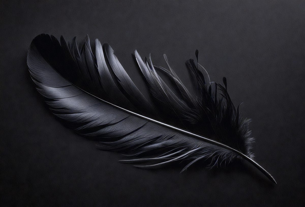 0dfe31e3-736b-418b-96a2-fa523c84fc80-freepik__black-feather-isolated-on-black-background__97885_250524182438_00001.png