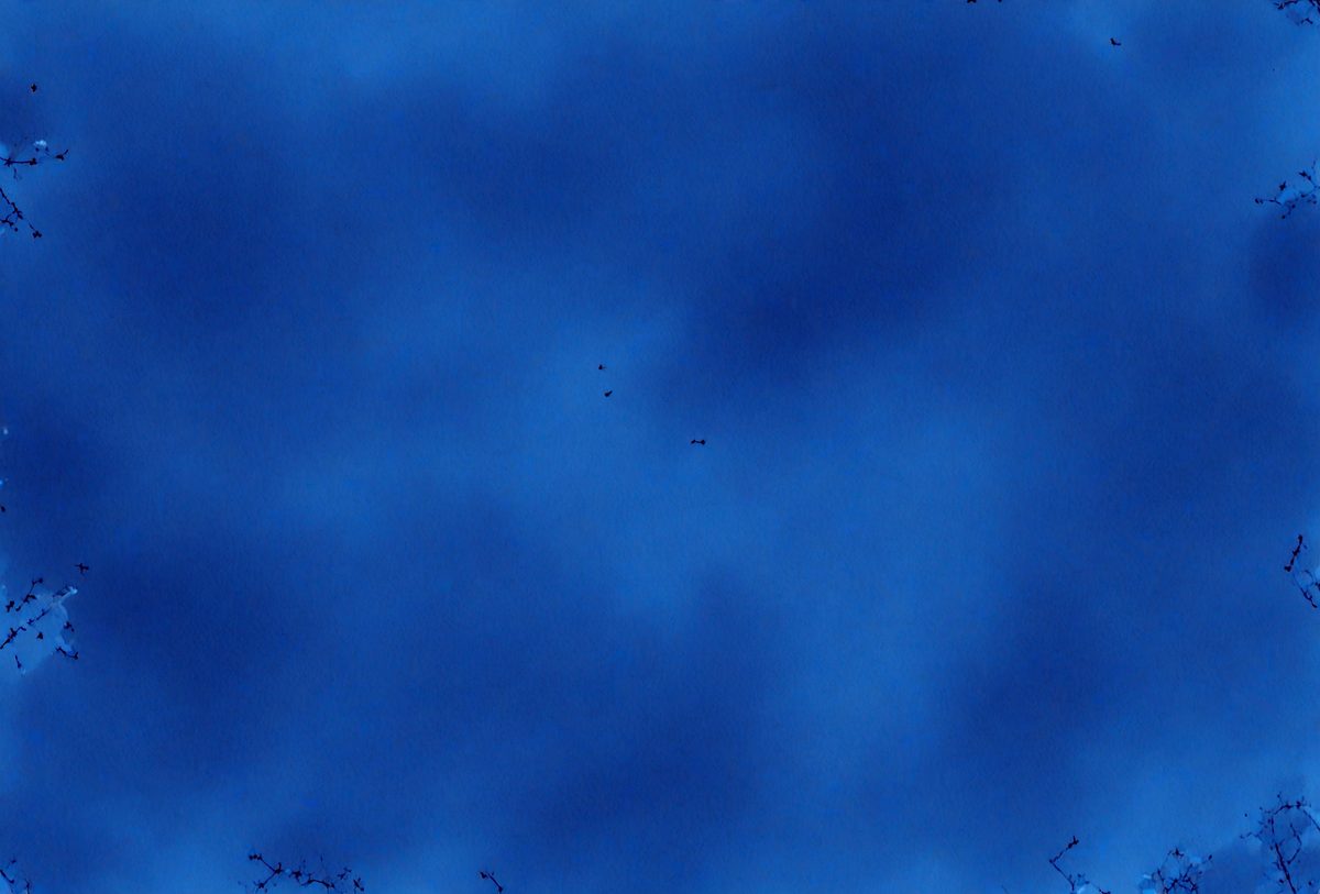 0fb18e59-1658-4c7a-a141-40291af9dfcd-freepik__dark-blue-watercolor-background-with-a-pronounced-__42638_250930010842_00001.png