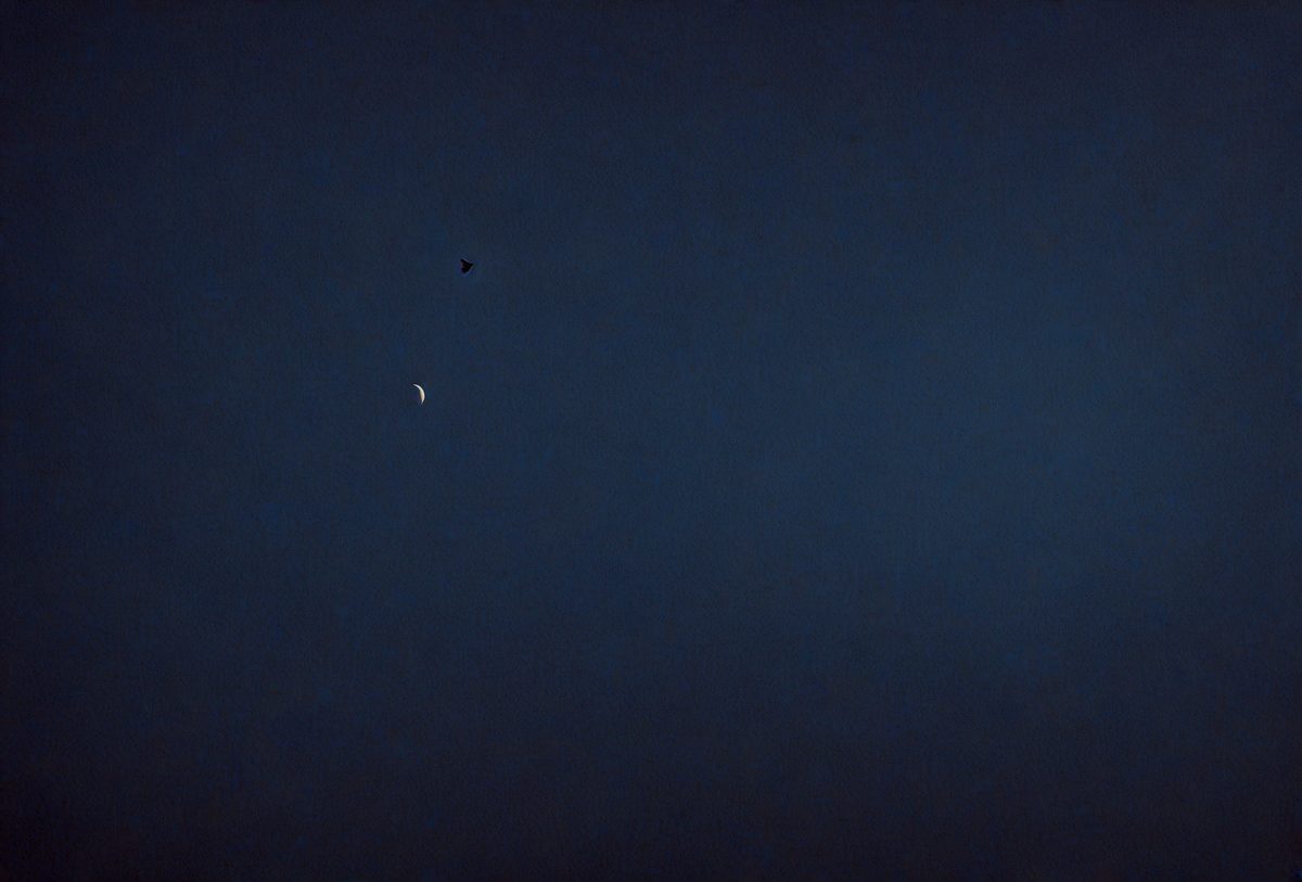 12f4cdaa-c846-458e-a2fd-334531e607ea-freepik__minimal-dark-blue-gradient-with-soft-glow__21612_251001112219_00001.png
