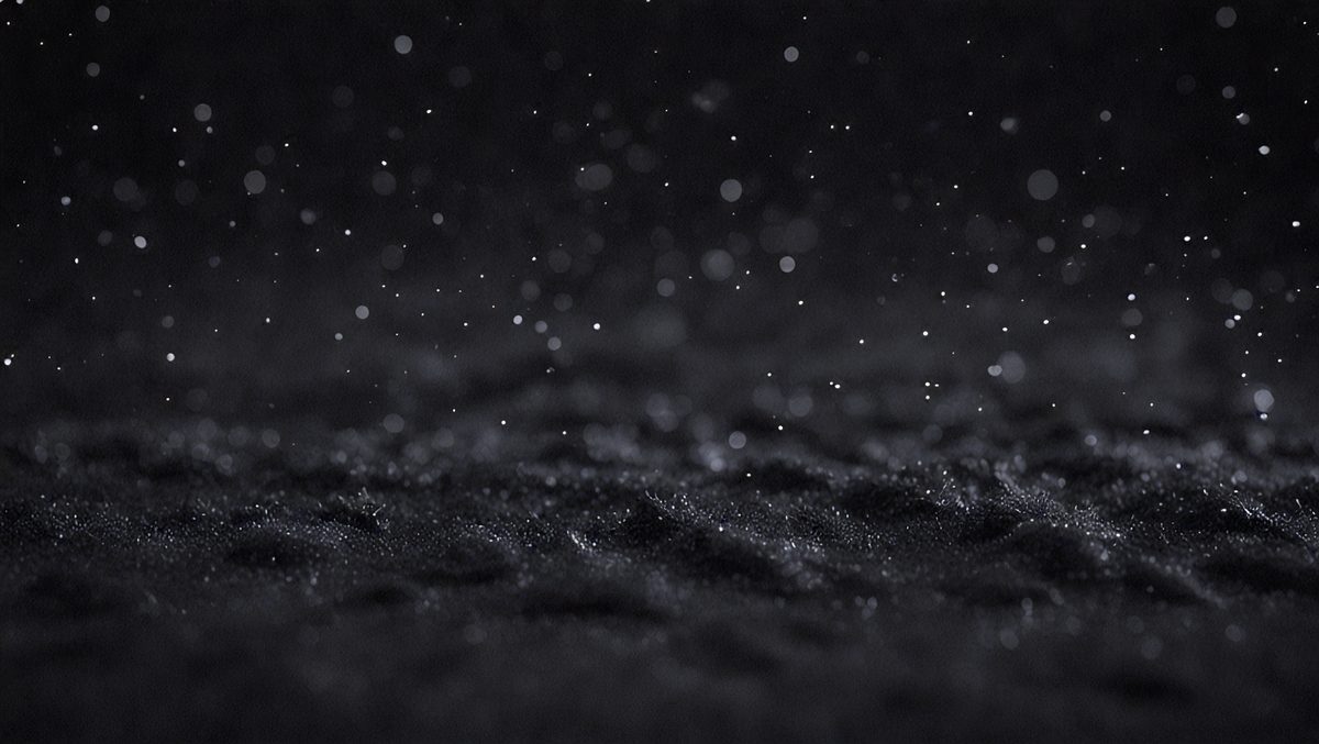 13139649-1345-43d9-9dc6-0d724da31954-freepik__a-bokeh-of-black-snow-on-a-black-background__75280_250524005323_00001.png