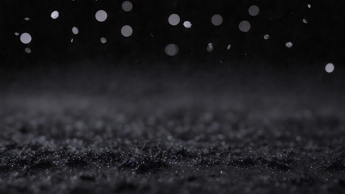13746bc8-fc86-4734-914a-5561548c4a32-freepik__a-bokeh-of-black-snow-on-a-black-background__75277_250524005311_00001.png