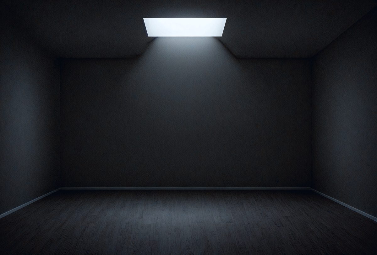 13b55a31-967f-4329-8b36-fed11660aff4-freepik__dark-room-with-light-background__11451_250525120147_00001.png