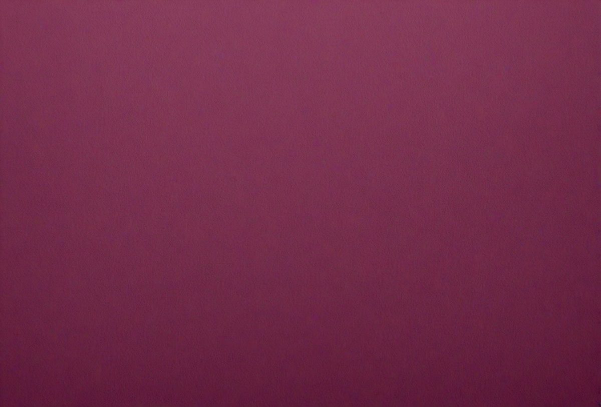 15d36cab-099a-4a77-847e-28742c6cb0b1-freepik__close-up-dark-magenta-beige-paper-texture-backgrou__13358_251007173801_00001.png