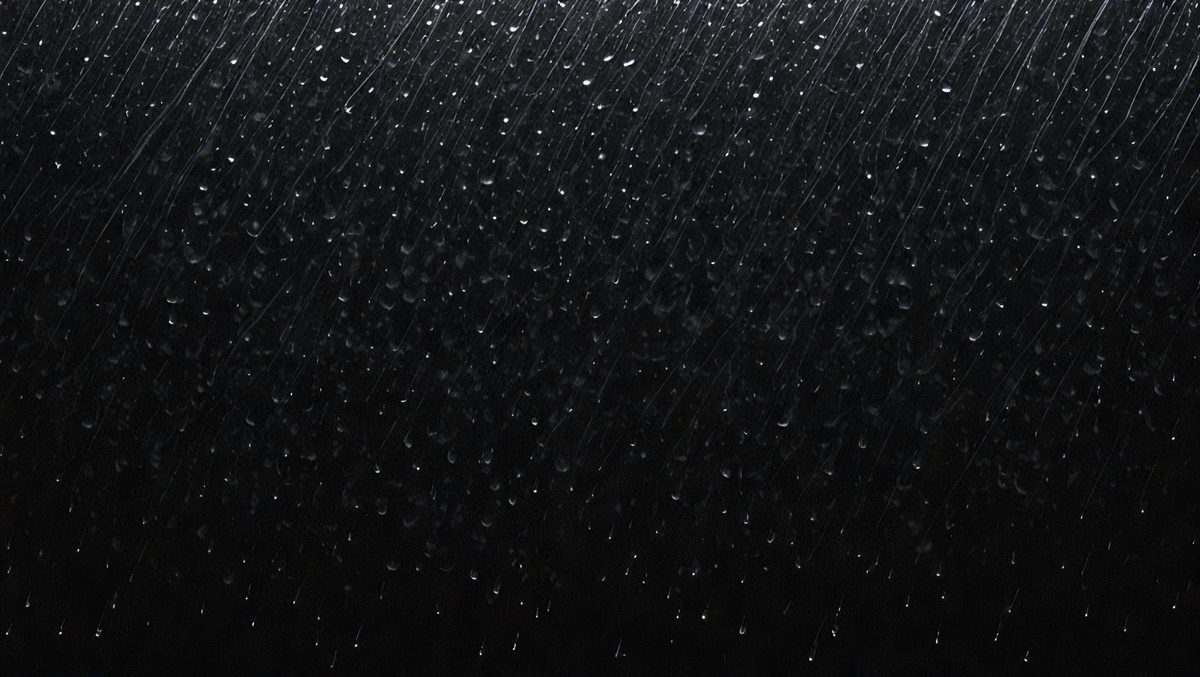 15d72fee-b8f6-4e88-8d52-fe42b3f37c42-freepik__rain-on-black-background-with-wind__75336_250525211229_00001.png