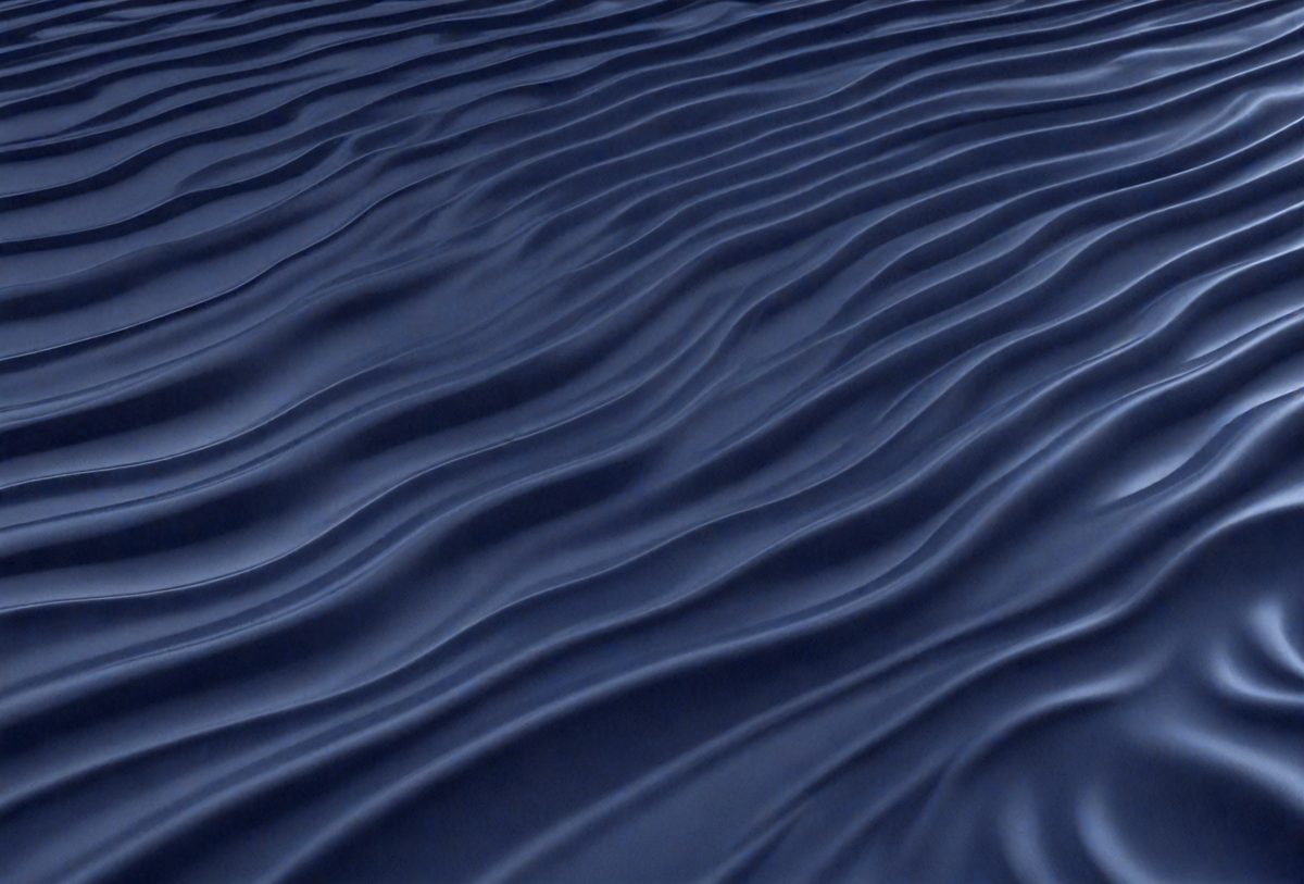1750f7a1-2217-4e46-8cd1-8a1fc9d981d1-freepik__dark-blue-smooth-ripples-expanding-outward__21006_251001062816_00001.png
