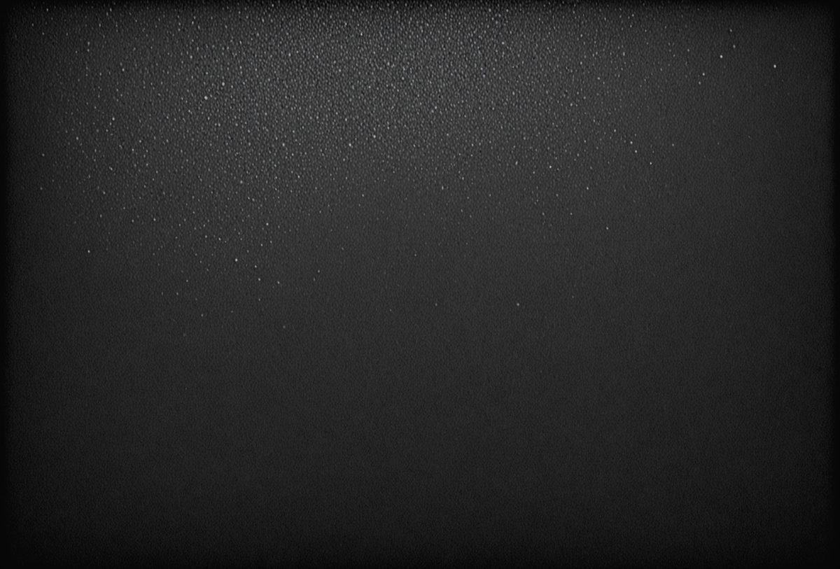 17d758f1-4ea1-446a-ad44-a7b0d4b6fb07-freepik__black-colored-textured-background__88981_250524181531_00001.png