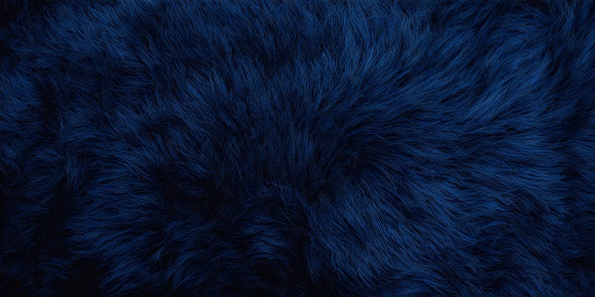 1a47561e-e798-421c-8882-88233ca099e2-freepik__dark-blue-fur-background-surface-wool-texture-copy__30034_250930001136_00001.png