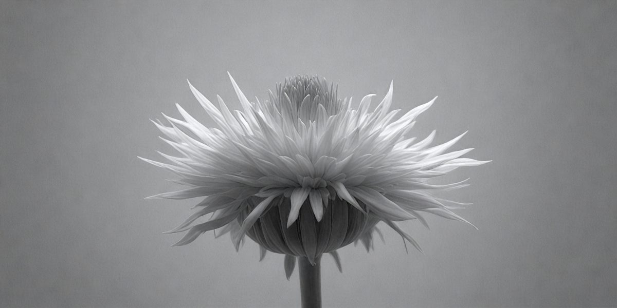 1a718a3c-a735-43cc-9700-4bffad383a3b-freepik__clean-corn-flower-render-a-small-monochrome-noise__44002_250928021420_00001.png