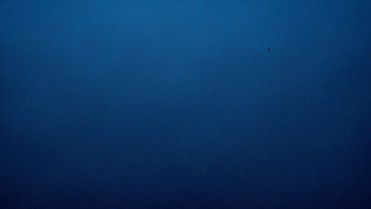 1aec5379-4ab6-41a2-9306-29215da5ea36-freepik__dark-blue-paper-texture-background__47400_250930004400_00001.png