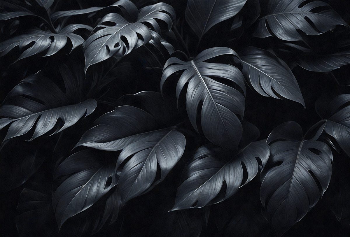 1af2df8b-284e-4f5a-9131-99e188e19bfa-freepik__closeup-tropical-black-leaves-texture-and-dark-ton__35611_250525072743_00001.png