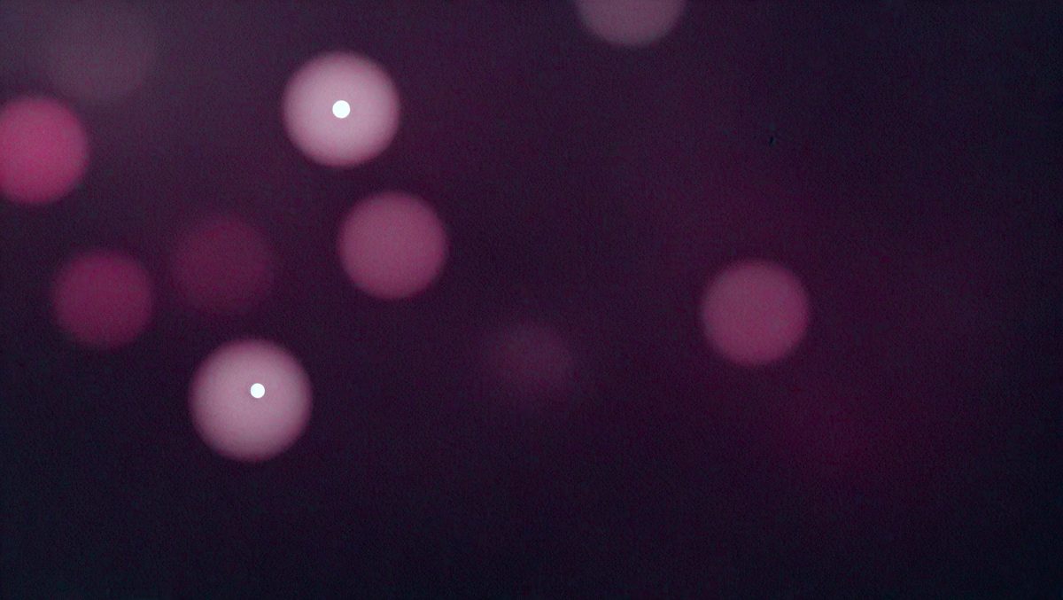 1b14d613-fc35-4ad9-beea-3895d89516cf-freepik__abstract-background-with-a-dark-magenta-light-blur__13443_251007085846_00001.png