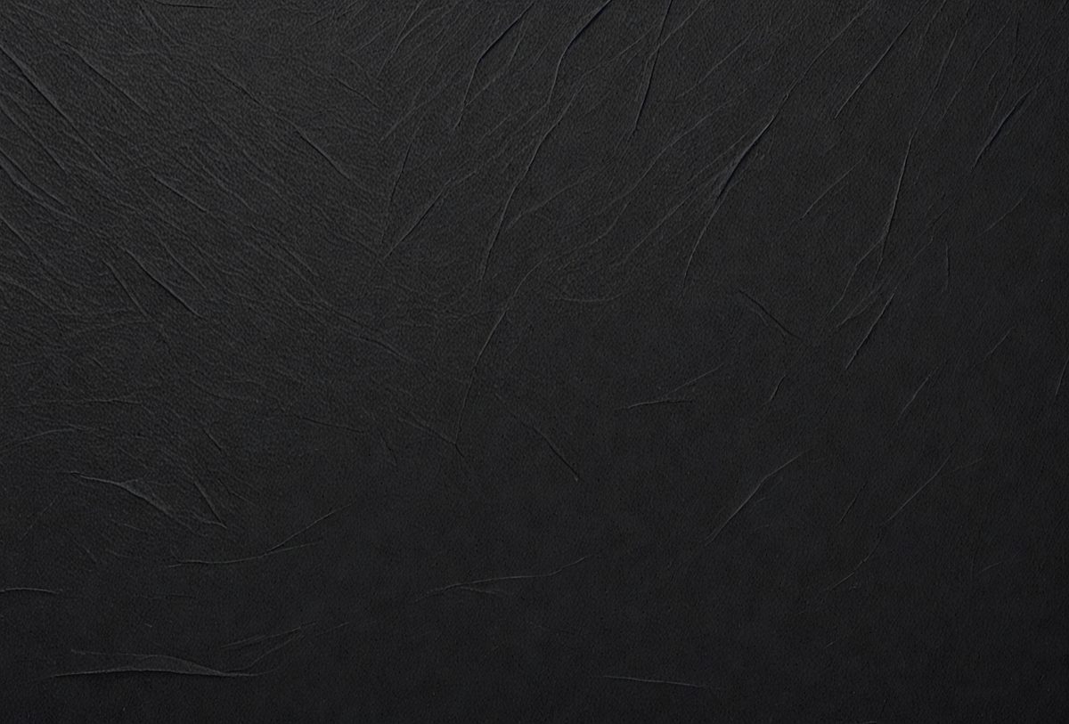 1b914ee3-4875-4934-98ac-d7efb63a8263-freepik__black-paper-texture__75206_250524225415_00001.png