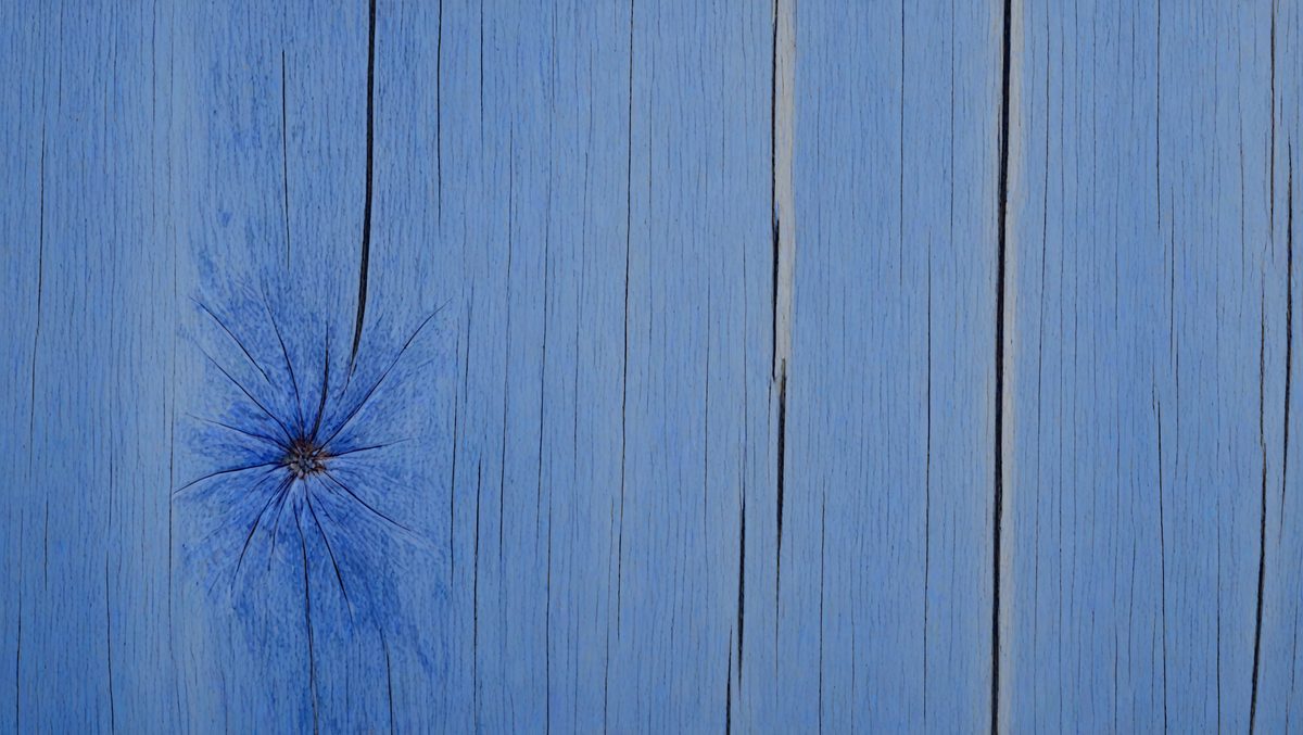 1bb55fb6-439e-4e6f-9f23-ba6596042eb2-freepik__closeup-of-cornflower-blue-wood-texture-macro-phot__82618_250928022507_00001.png